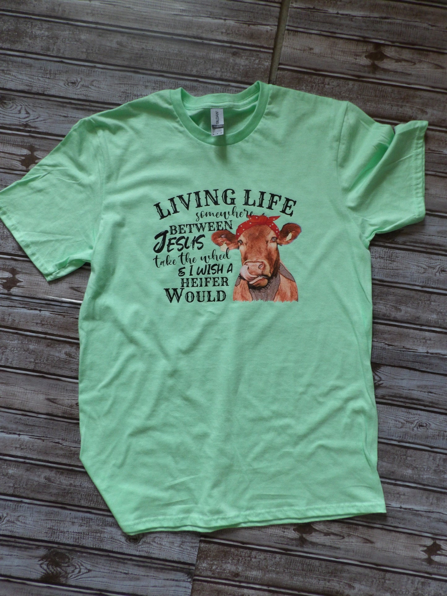 Living Life Somewhere Between Jesus Take The Wheel T-Shirt