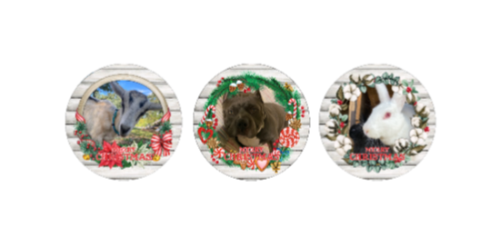 Christmas Custom Photo Round Ornament